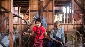 মিয়ানমারের সবচেয়ে ব্যয়বহুল লোটাস রুট সিল্ক টেক্সটাইল, কাপড় তৈরি করতে লোটা...